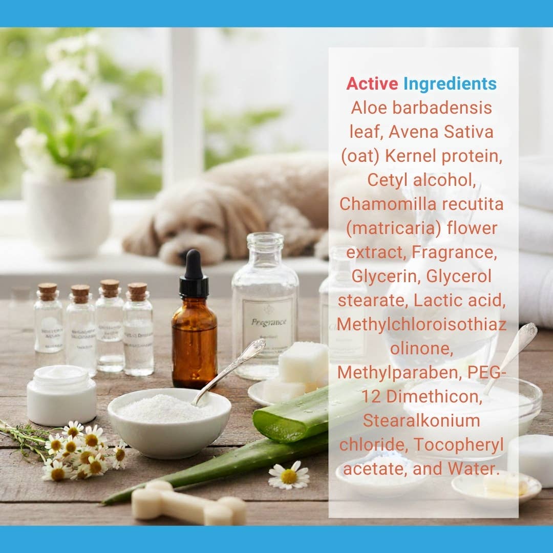 Oatmeal & Aloe Soothing Pet Shampoo - 16.9 fl oz