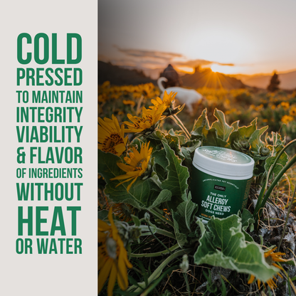 The Only Allergy Soft Chews Dogs Needs