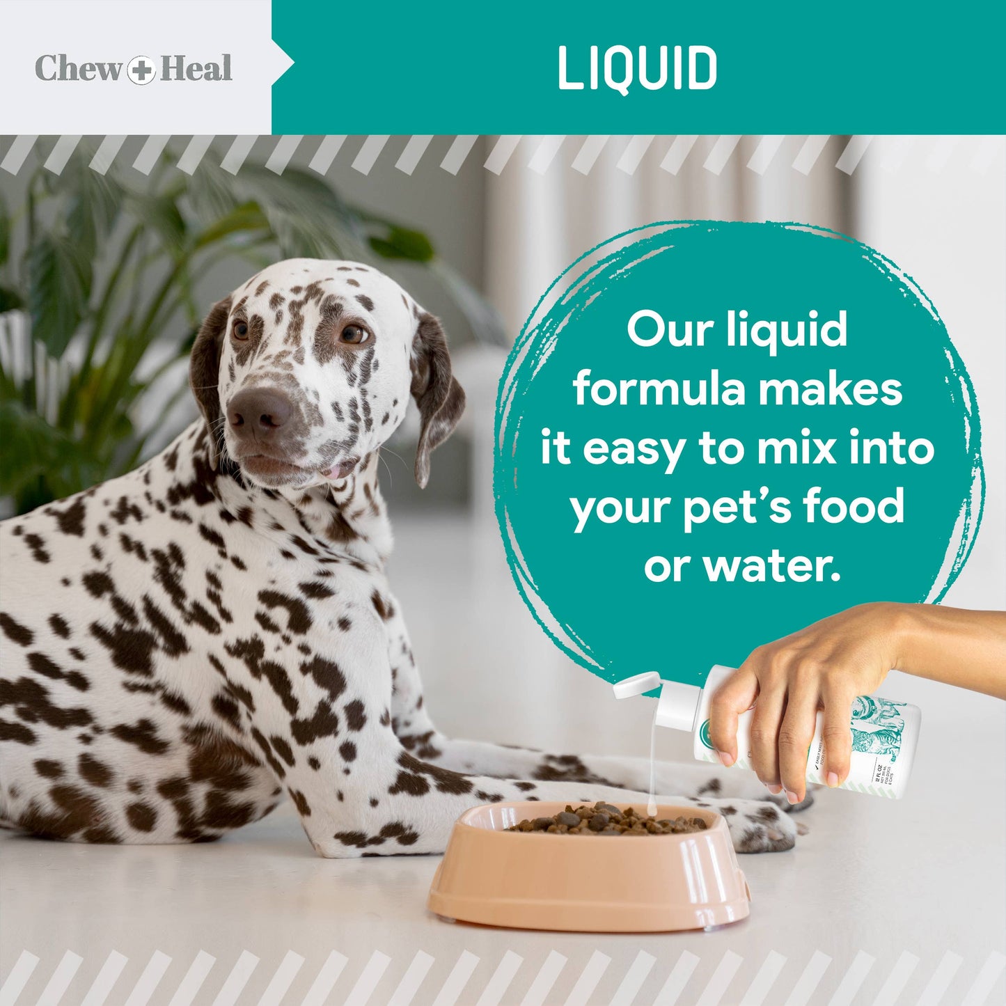 Stop The Worms Dewormer Liquid for Puppies & Kittens