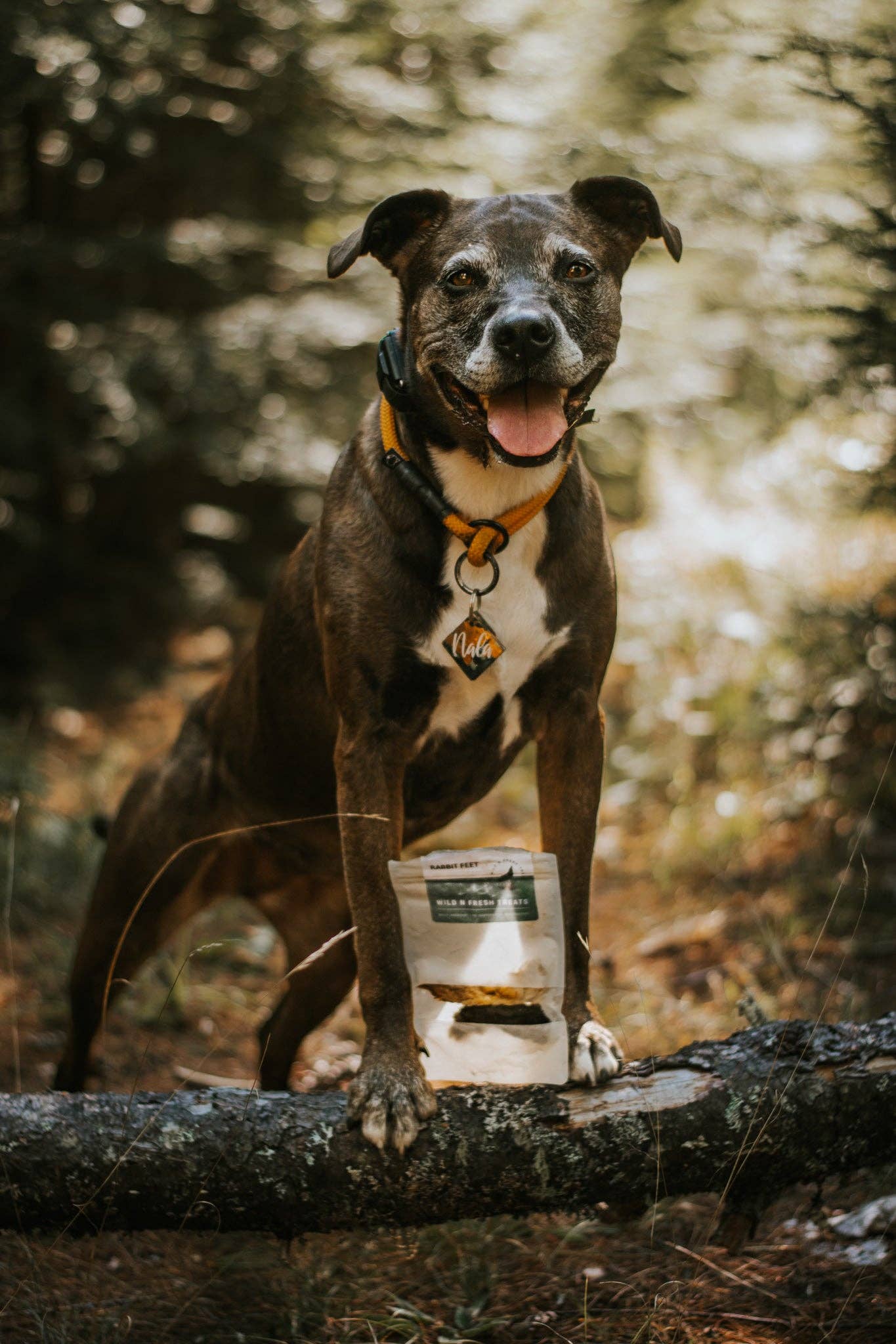 Dehydrated Rabbit Feet