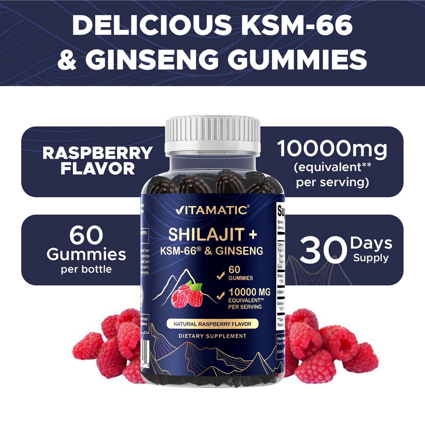 Vitamatic Shilajit with KSM-66® Ashwagandha & Ginseng-60 Ct