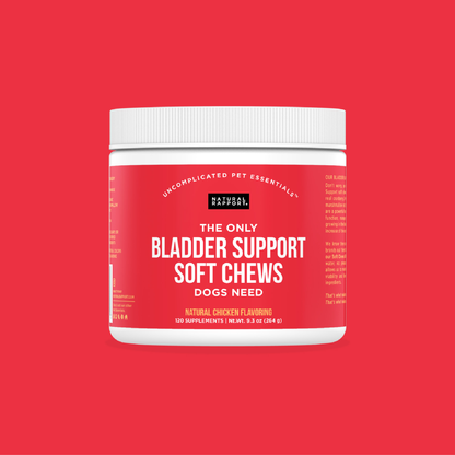 The Only Bladder Support Soft Chews Dogs Need