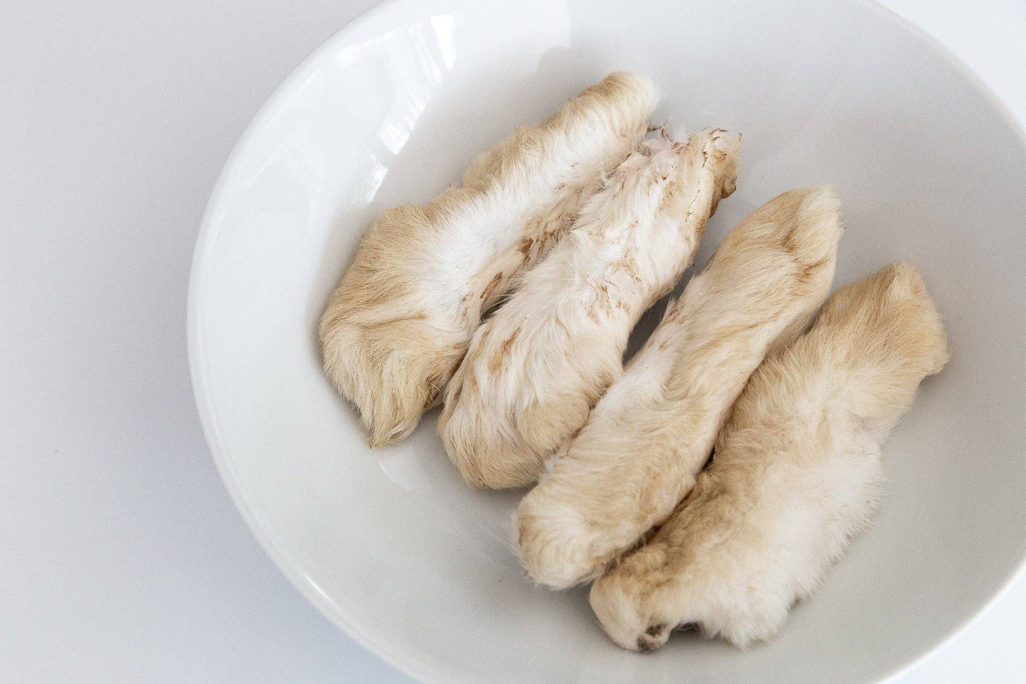 Dehydrated Rabbit Feet