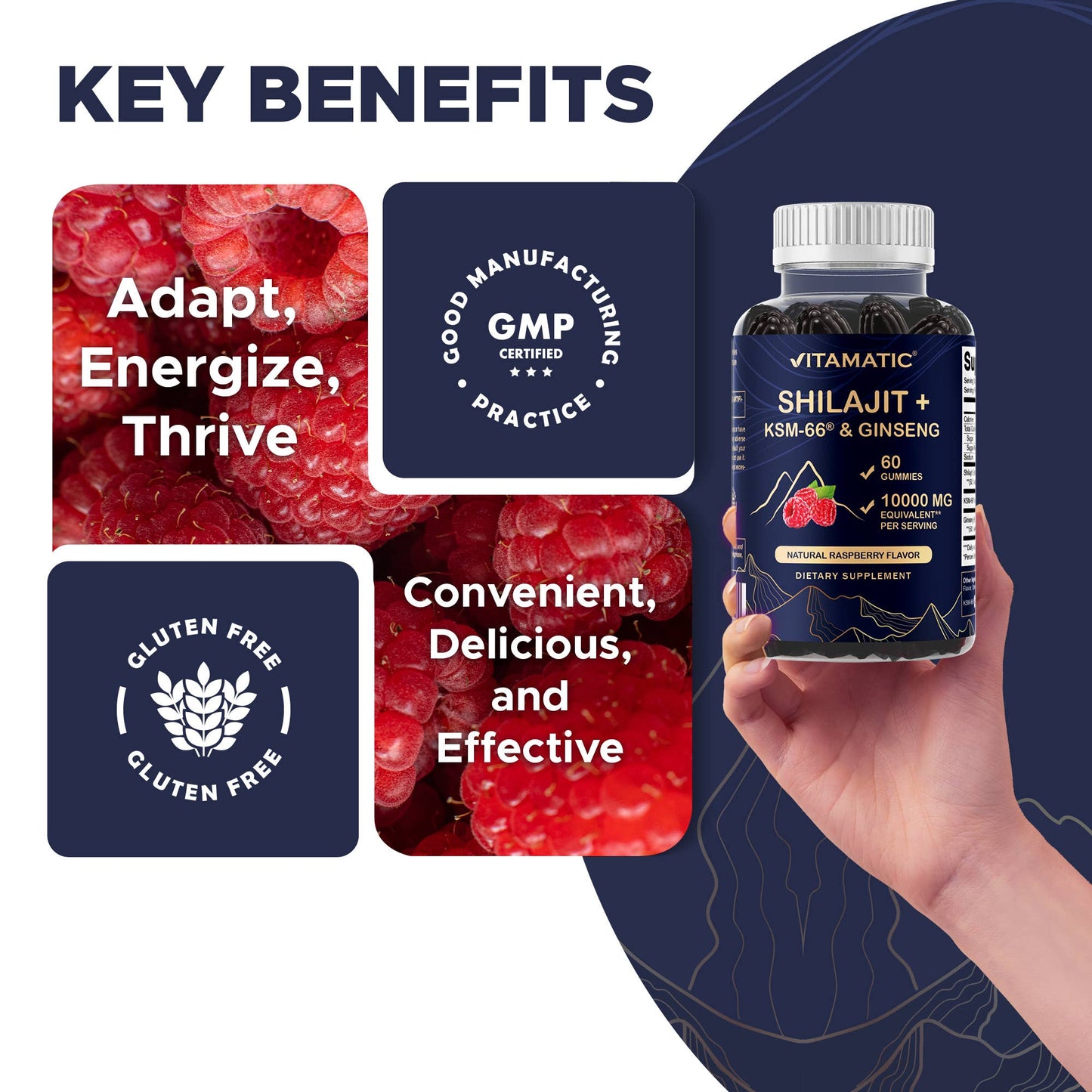 Vitamatic Shilajit with KSM-66® Ashwagandha & Ginseng-60 Ct