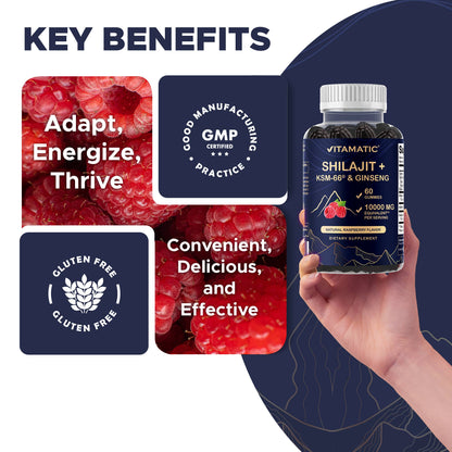 Vitamatic Shilajit with KSM-66® Ashwagandha & Ginseng-60 Ct