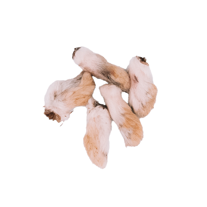 Dehydrated Rabbit Feet