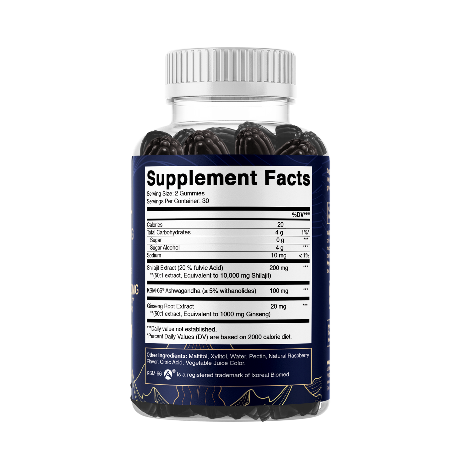 Vitamatic Shilajit with KSM-66® Ashwagandha & Ginseng-60 Ct