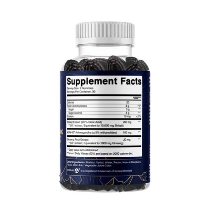 Vitamatic Shilajit with KSM-66® Ashwagandha & Ginseng-60 Ct