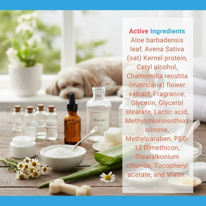 Oatmeal & Aloe Soothing Pet Shampoo - 16.9 fl oz