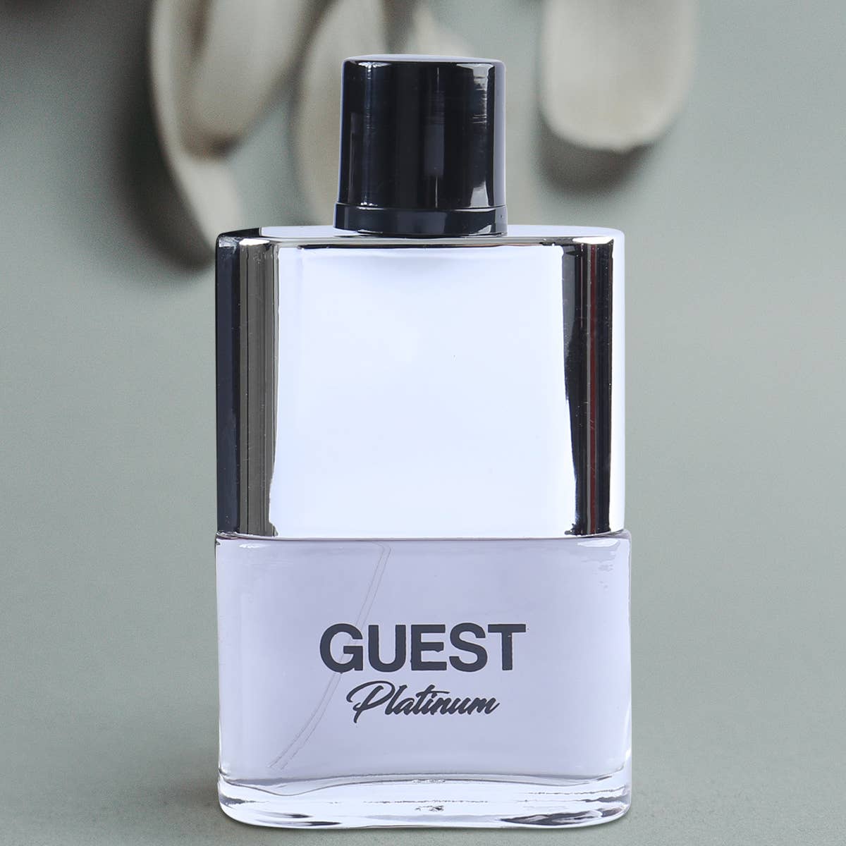 Guest Plat Ltd Ed  Spray Cologne Eau De Toilette For Men