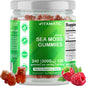 Vitamatic | Irish Sea Moss 3000 mg | 240 Vegan Gummies