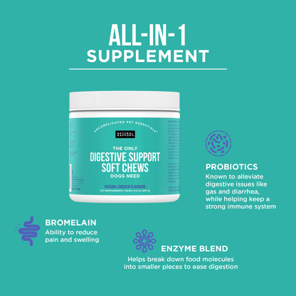 The Only Digestive Support Soft Chews Dogs Need