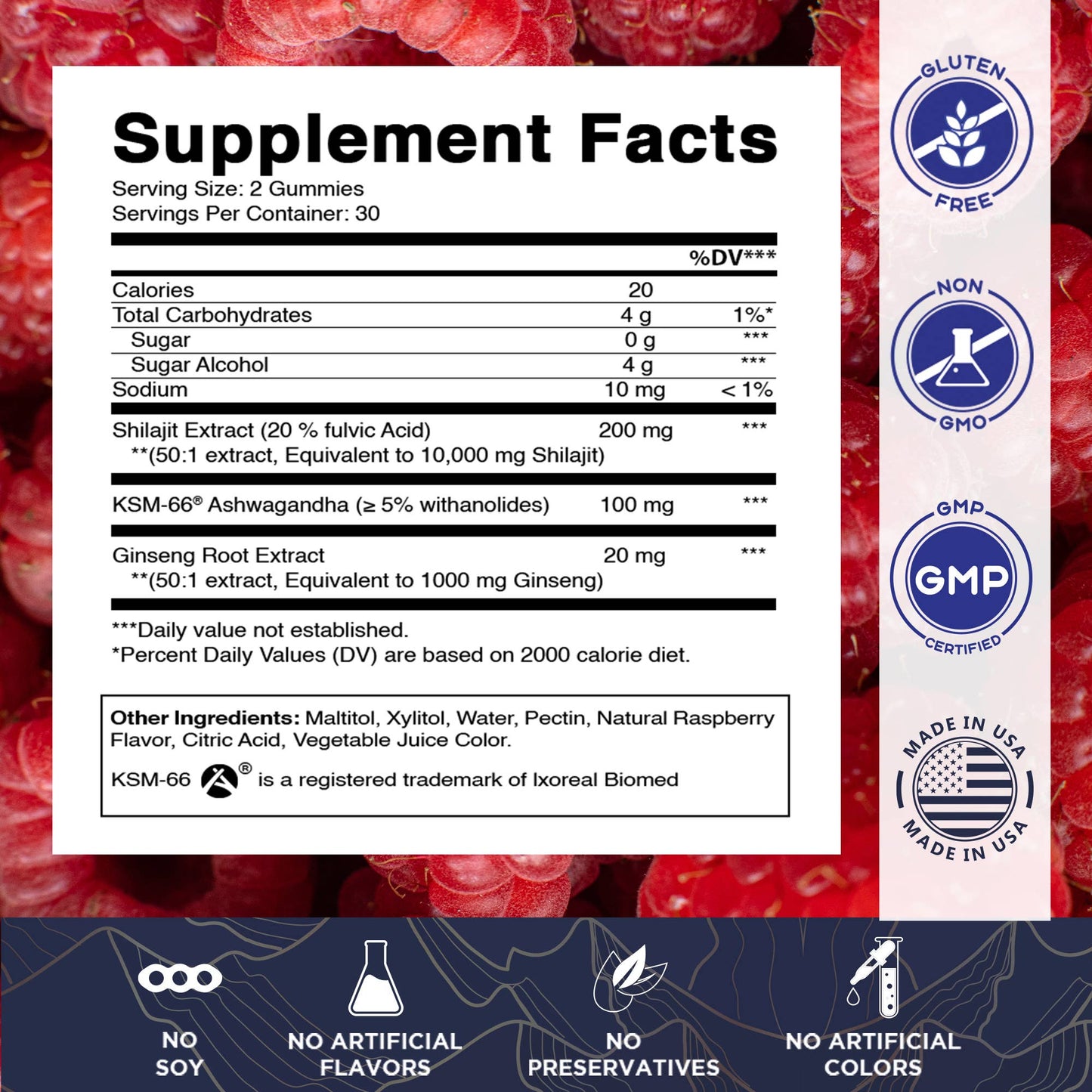 Vitamatic Shilajit with KSM-66® Ashwagandha & Ginseng-60 Ct