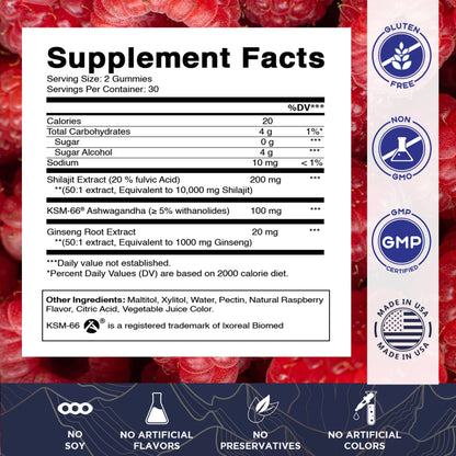 Vitamatic Shilajit with KSM-66® Ashwagandha & Ginseng-60 Ct