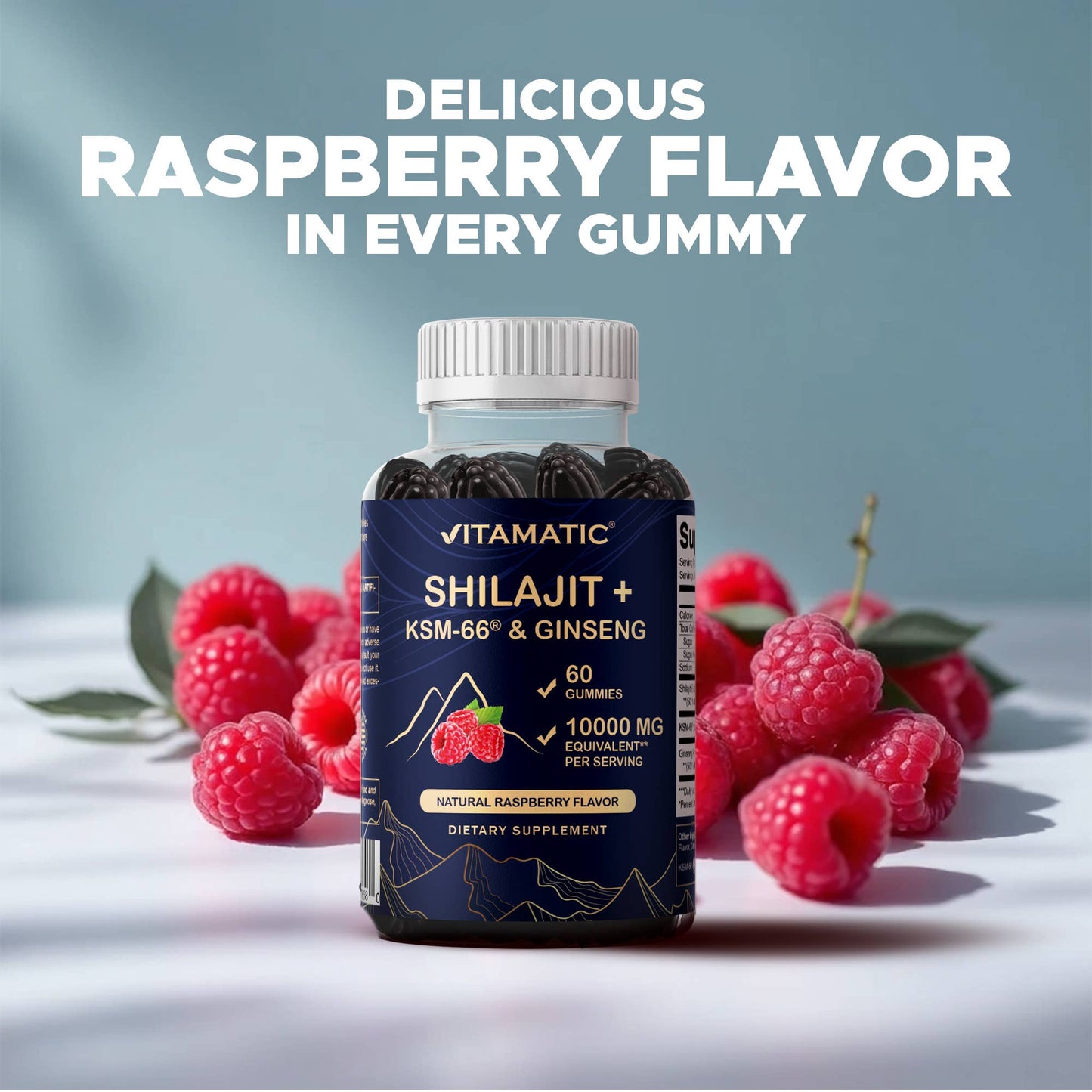 Vitamatic Shilajit with KSM-66® Ashwagandha & Ginseng-60 Ct