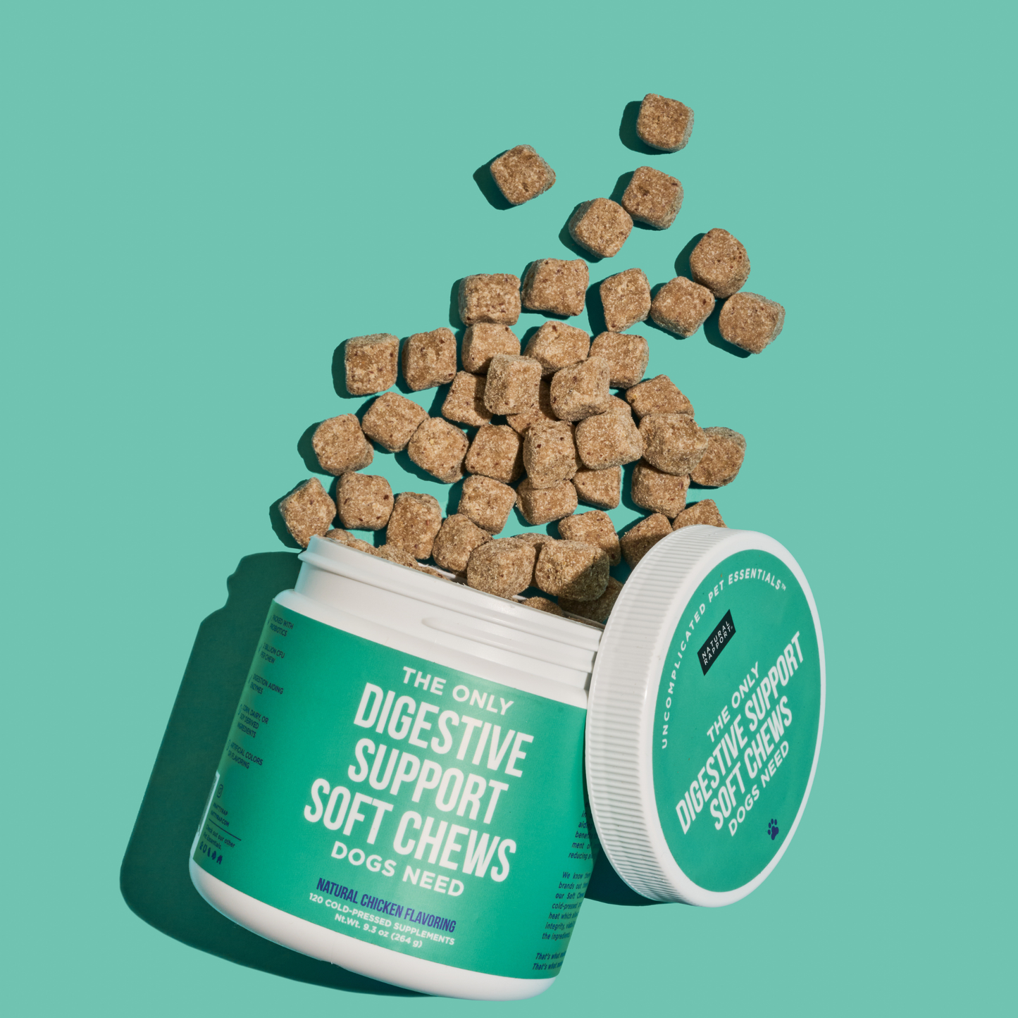 The Only Digestive Support Soft Chews Dogs Need