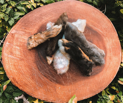 Dehydrated Rabbit Feet