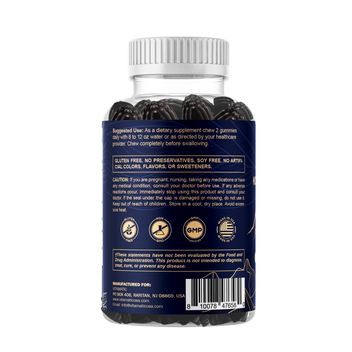 Vitamatic Shilajit with KSM-66® Ashwagandha & Ginseng-60 Ct