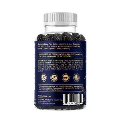 Vitamatic Shilajit with KSM-66® Ashwagandha & Ginseng-60 Ct