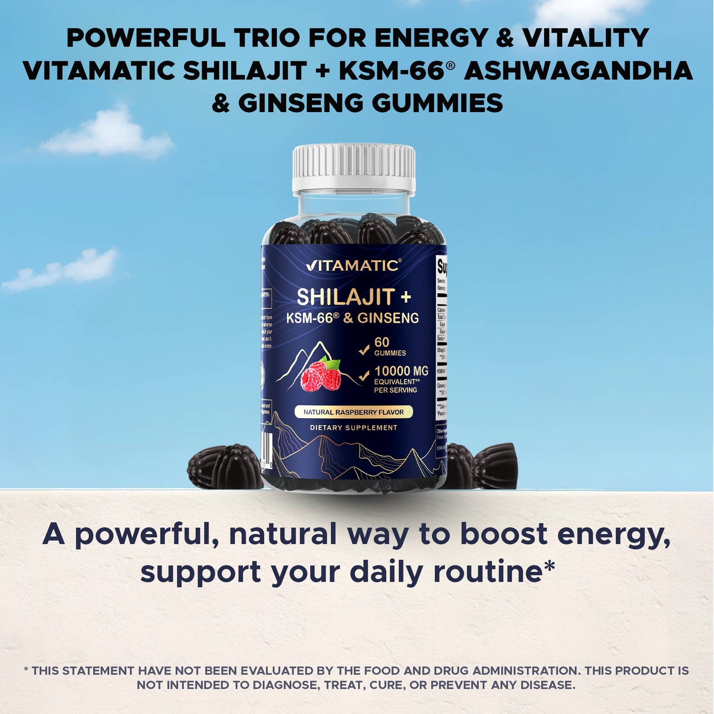 Vitamatic Shilajit with KSM-66® Ashwagandha & Ginseng-60 Ct