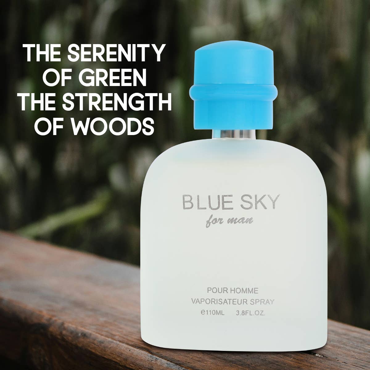 Blue Sky Spray Cologne Eau de Toilette for Men