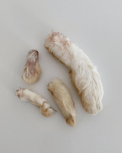 Dehydrated Rabbit Feet