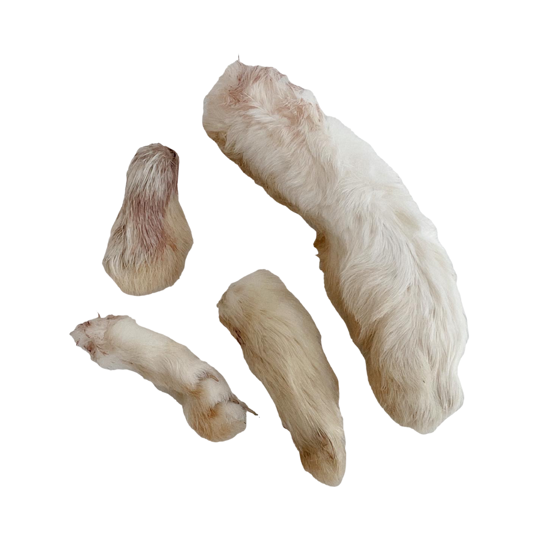 Dehydrated Rabbit Feet