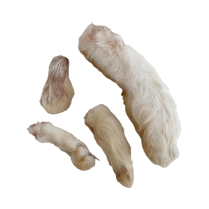 Dehydrated Rabbit Feet